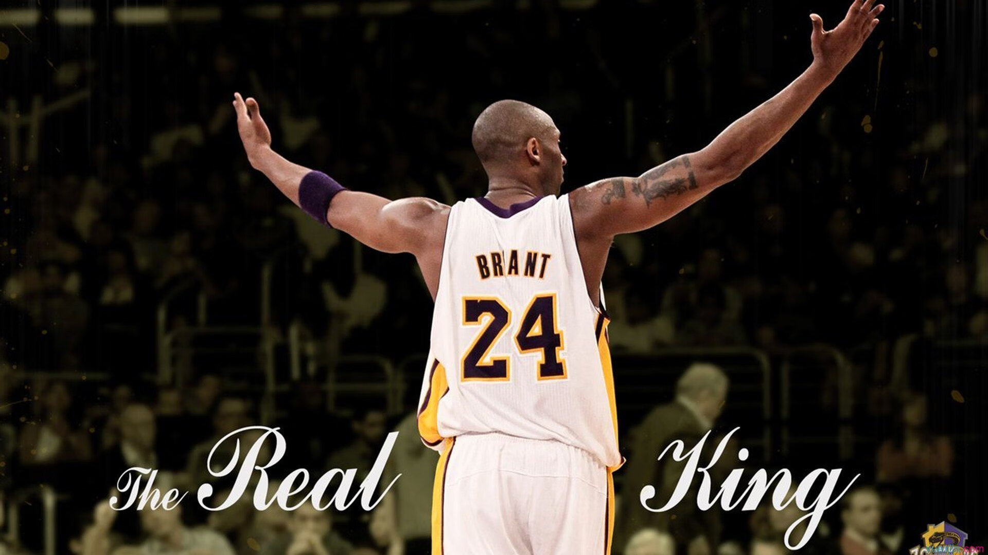 勇士队新星崭露头角,季后赛潜力巨大,勇士队新赛季阵容变化