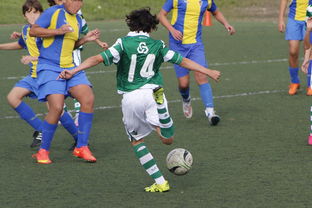 华体会体育网站入口-史诗级逆转战:从落后20分到胜利!,逆转结局是哪一套史诗