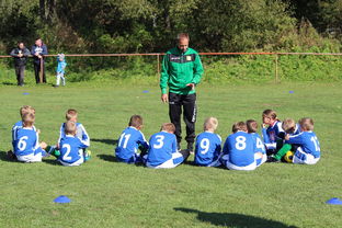 华体会登录入口-天津津门虎残阵抗衡山东泰山,末轮为阻击上海申花留力,天津津门虎最新赛程