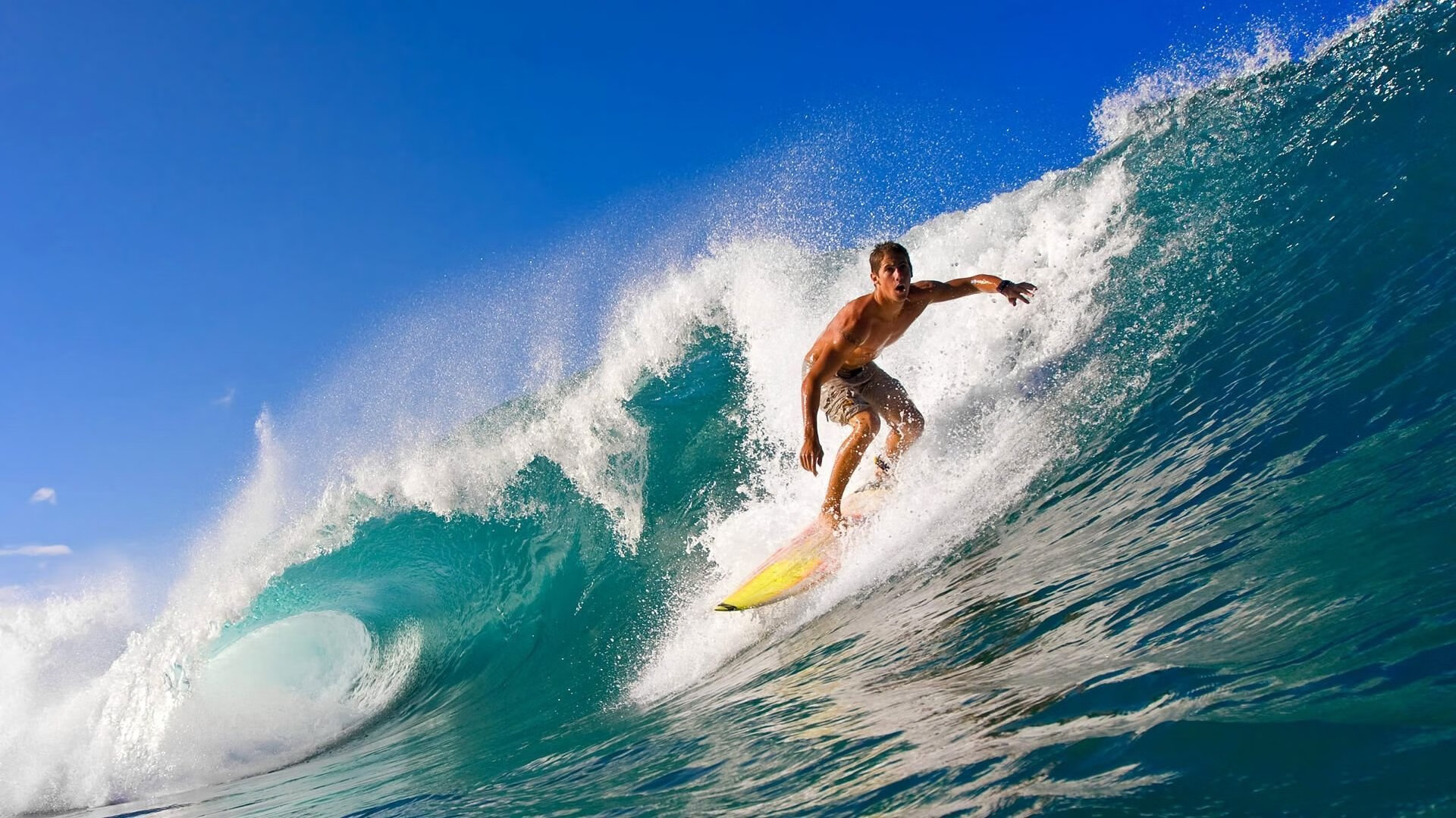 hth最新官方网站-德甲夺冠热门诞生：9场7胜狂揽22分排名第二，德甲连续不胜纪录